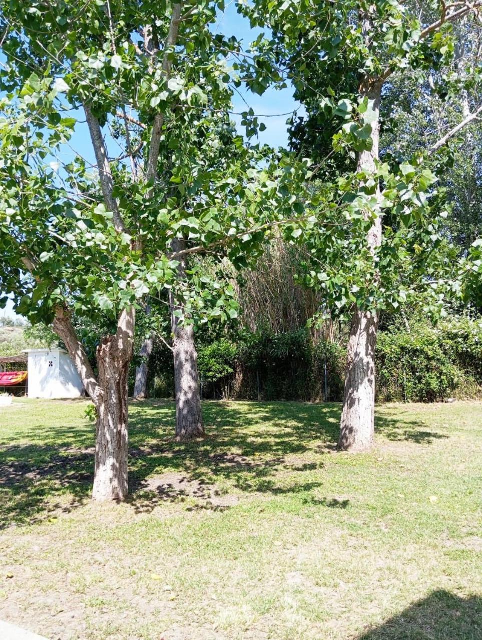 Villa Elena Ormos Panagias Luaran gambar